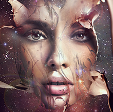 【技术支持】专业的轰炸手机号在线使用